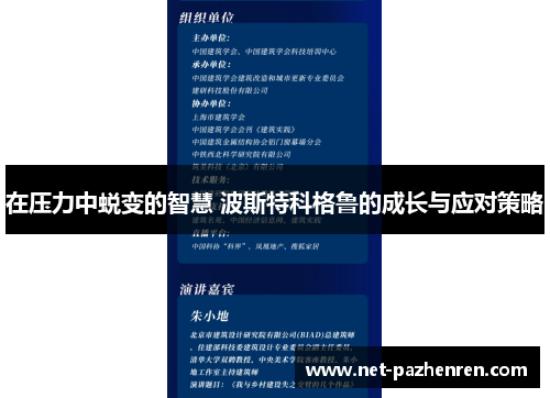 在压力中蜕变的智慧 波斯特科格鲁的成长与应对策略 在压力中蜕变的智慧 波斯特科格鲁的成长与应对策略