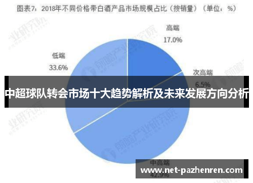 中超球队转会市场十大趋势解析及未来发展方向分析 中超球队转会市场十大趋势解析及未来发展方向分析
