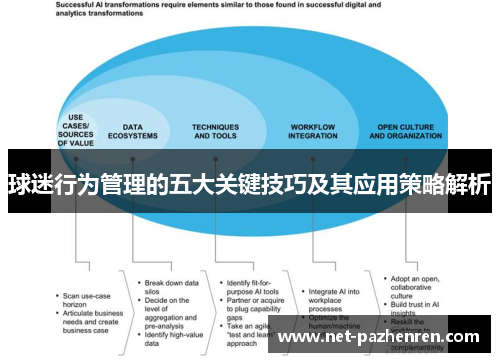 球迷行为管理的五大关键技巧及其应用策略解析 球迷行为管理的五大关键技巧及其应用策略解析