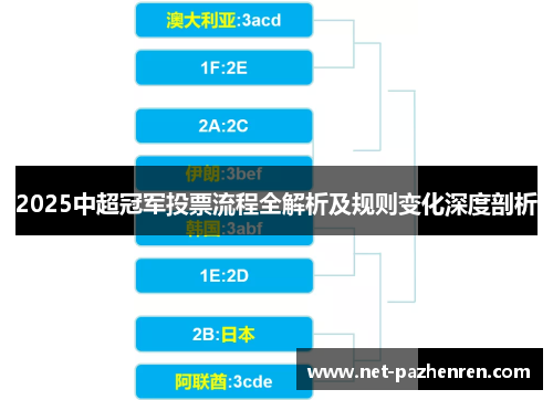 2025中超冠军投票流程全解析及规则变化深度剖析 2025中超冠军投票流程全解析及规则变化深度剖析