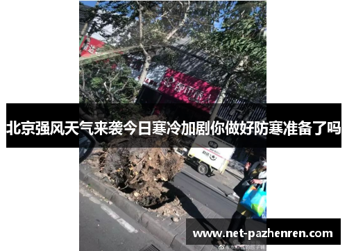 北京强风天气来袭今日寒冷加剧你做好防寒准备了吗 北京强风天气来袭今日寒冷加剧你做好防寒准备了吗