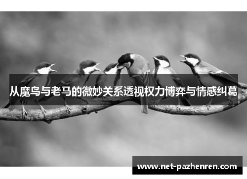 从魔鸟与老马的微妙关系透视权力博弈与情感纠葛 从魔鸟与老马的微妙关系透视权力博弈与情感纠葛