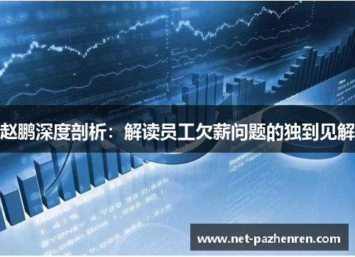 赵鹏深度剖析：解读员工欠薪问题的独到见解