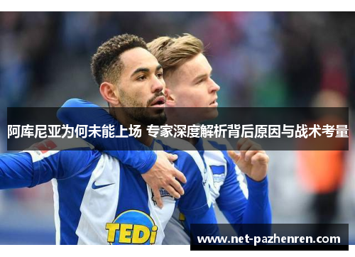 阿库尼亚为何未能上场 专家深度解析背后原因与战术考量